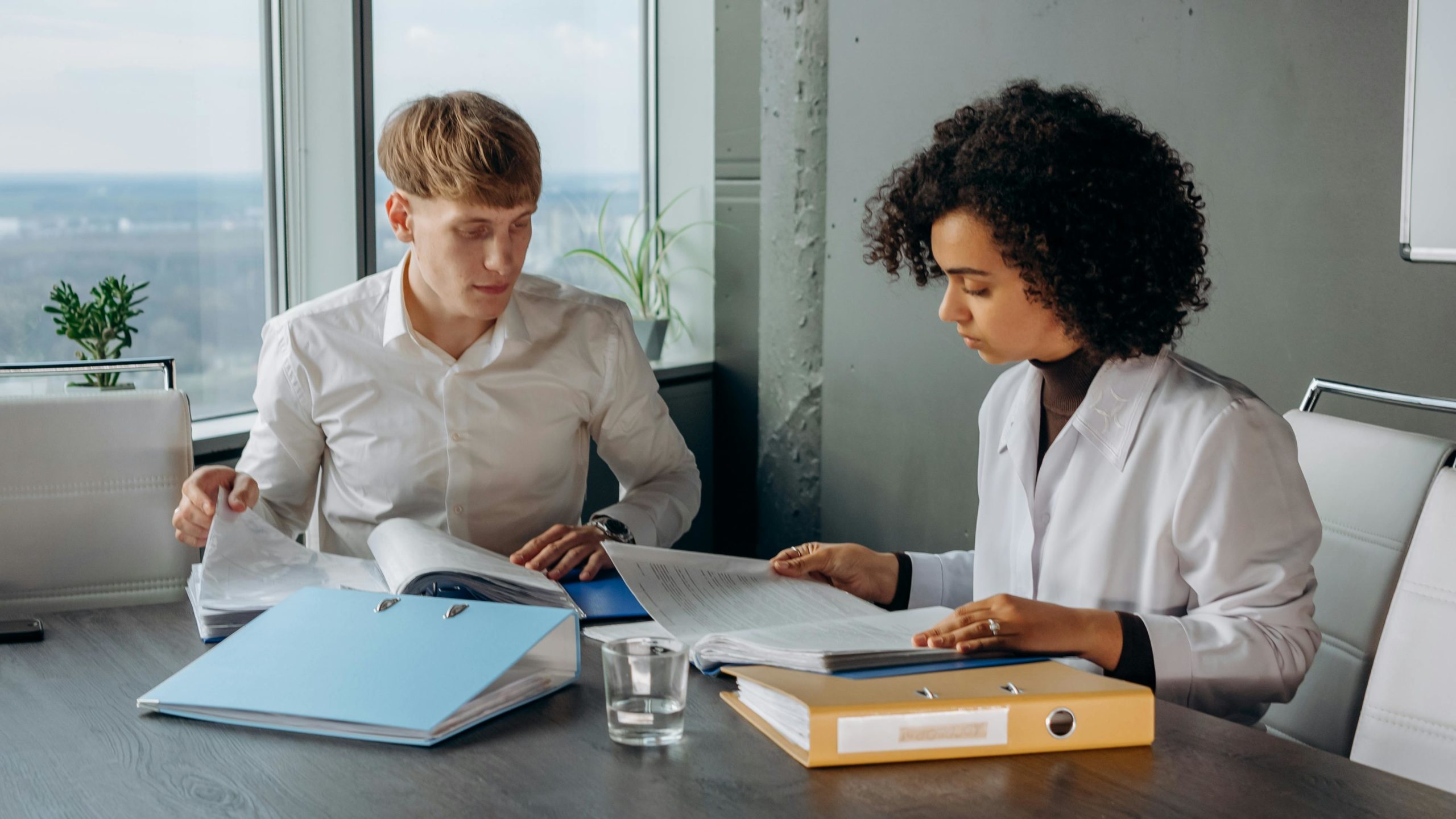 Kostenloses Stock Foto zu afroamerikaner-frau, analyse, arbeit